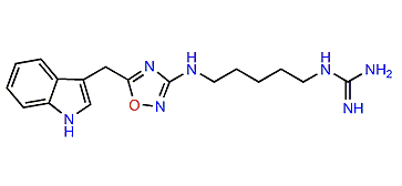 Phidianidine B